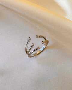 Anillo Constelaciones