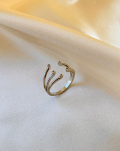 Anillo Constelaciones